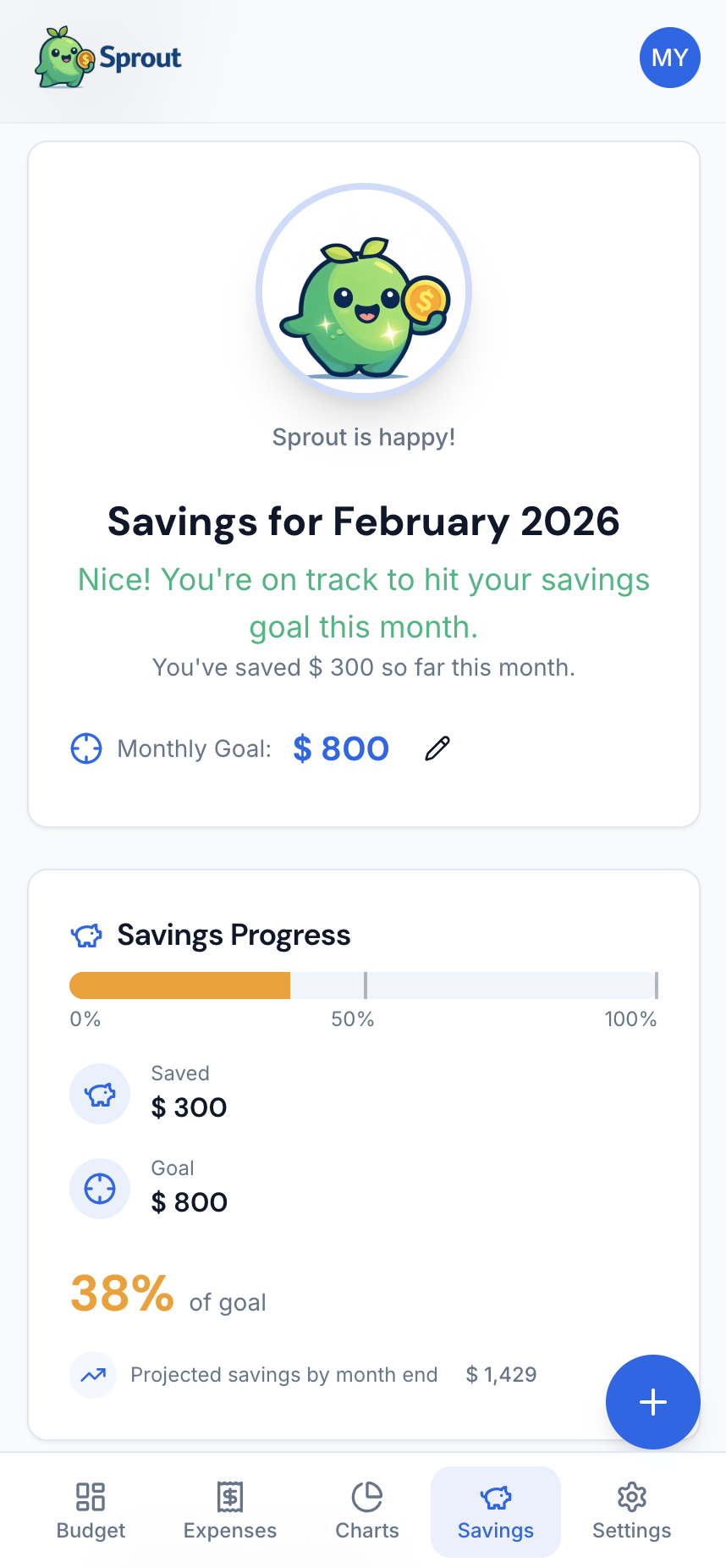 Hit your Monthly Savings Goal